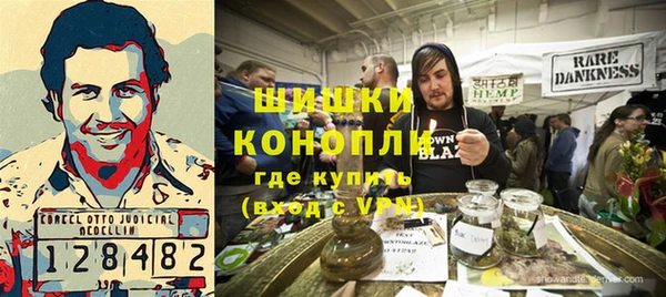 гашик Алексеевка