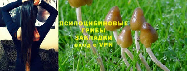 гашик Алексеевка