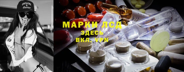 дмт Алзамай